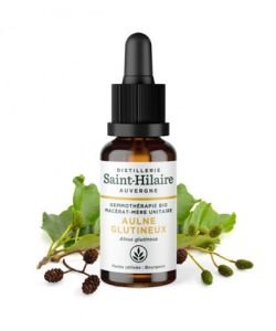 Aulne glutineux (Aulnus glutinosa) bourgeon BIO, 30 ml